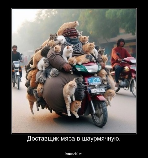 Доставщик мяса в шаурмячную.