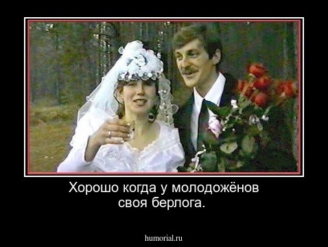 Хорошо когда у молодожёнов своя берлога. 
