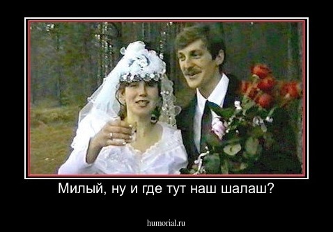 Милый, ну и где тут наш шалаш?