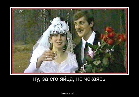 ну, за его яйца, не чокаясь