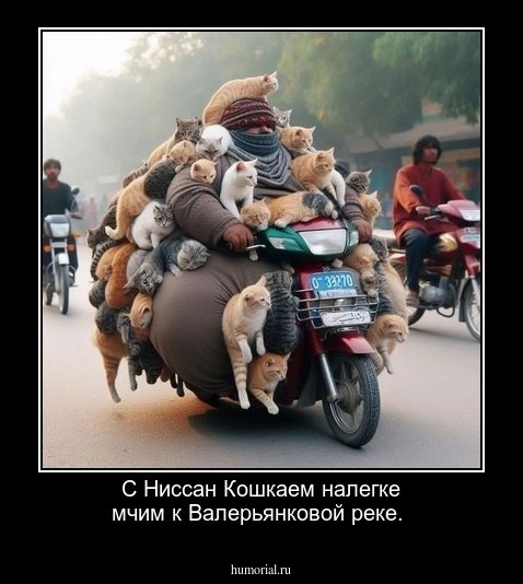 С Ниссан Кошкаем, налегке, мчим к Валерьянковой реке.