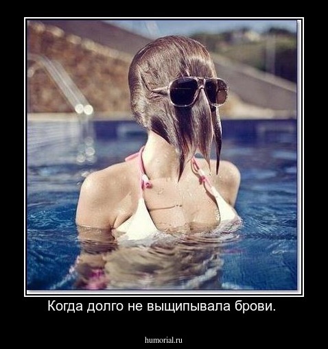 Когда долго не выщипывала брови. 