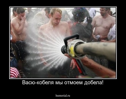 Васю-кобеля мы отмоем добела!