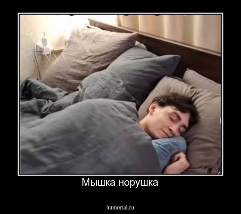Мышка норушка