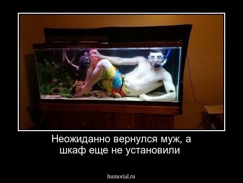 Неожиданно вернулся муж, а шкаф еще не установили