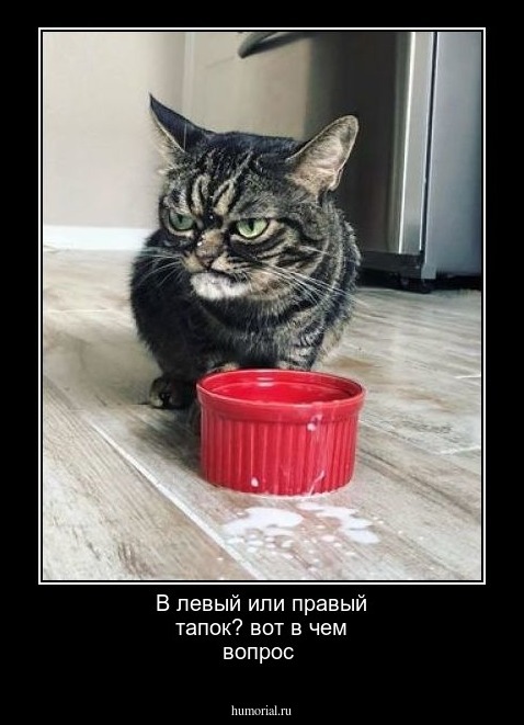 В левый или правый тапок? вот в чем вопрос