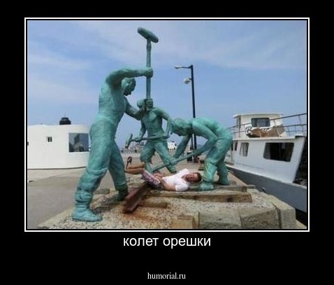 колет орешки