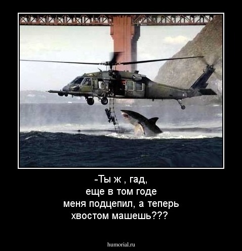 -Ты ж , гад, еще в том годе меня подцепил, а теперь хвостом машешь???