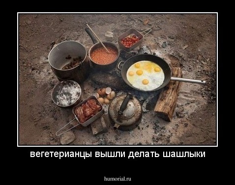 вегетерианцы вышли делать шашлыки