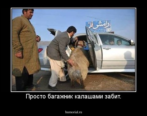 Просто багажник калашами забит.