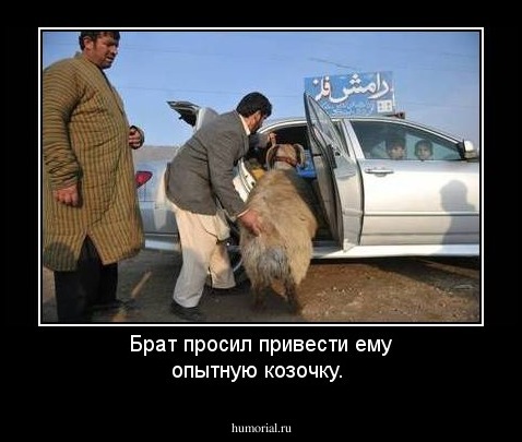 Брат  просил привести ему опытную козочку.