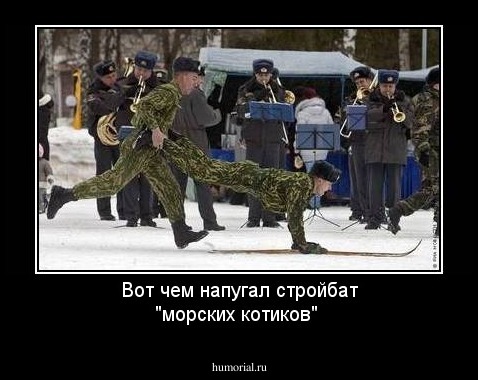 Вот чем напугал стройбат  "морских котиков"
