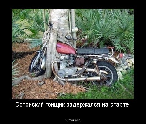 Эстонский гонщик задержался на старте.