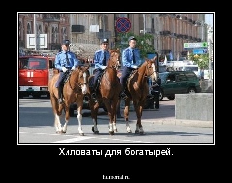 Хиловаты для богатырей.