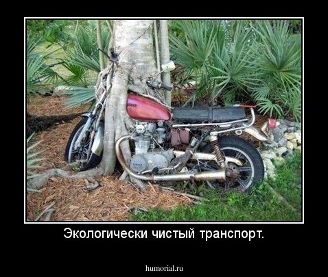 Экологически чистый транспорт.