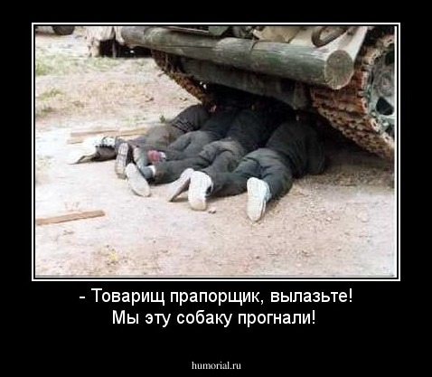 - Товарищ прапорщик, вылазьте! Мы эту собаку прогнали!