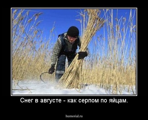 Снег в августе - как серпом по яйцам.