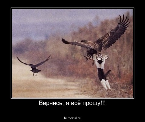 Вернись, я всё прощу!!!