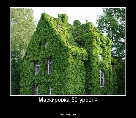 Маскировка 50 уровня
