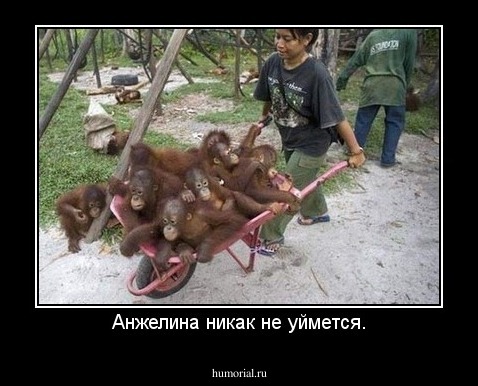 Анжелина никак не уймется.