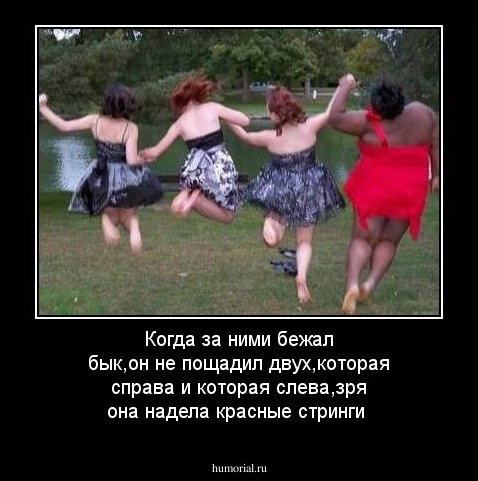 Когда за ними бежал бык,он не пощадил двух,которая справа и которая слева,зря она надела красные стринги