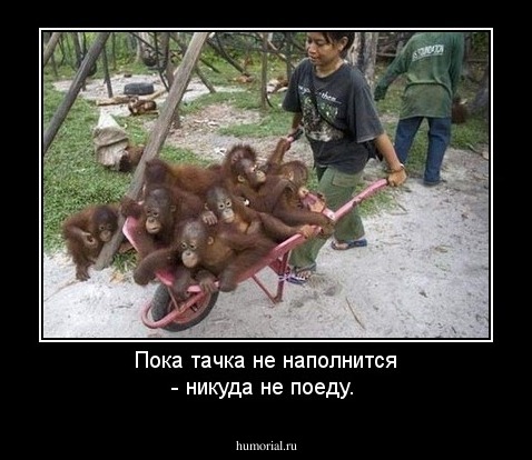 Пока тачка не наполнится - никуда не поеду.