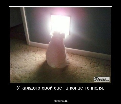 У каждого свой свет в конце тоннеля.