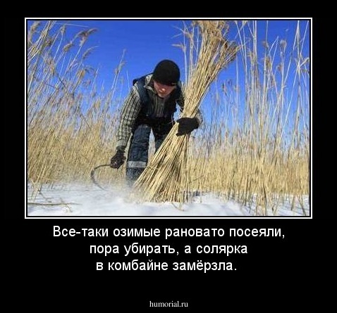 Все-таки озимые рановато посеяли, пора убирать, а солярка в комбайне замёрзла.