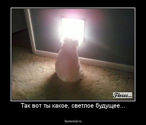 Так вот ты какое, светлое будущее...
