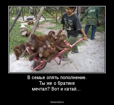 В семье опять пополнение. 
Ты же о братике мечтал? Вот и катай...