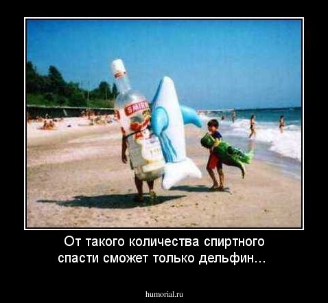 От такого количества спиртного спасти сможет только дельфин...