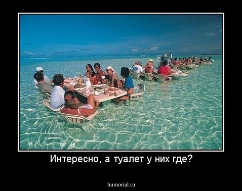 Интересно, а туалет у них где?