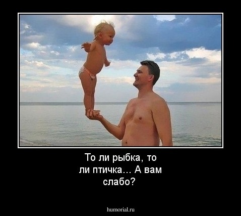 То ли рыбка, то ли птичка... А вам слабо?