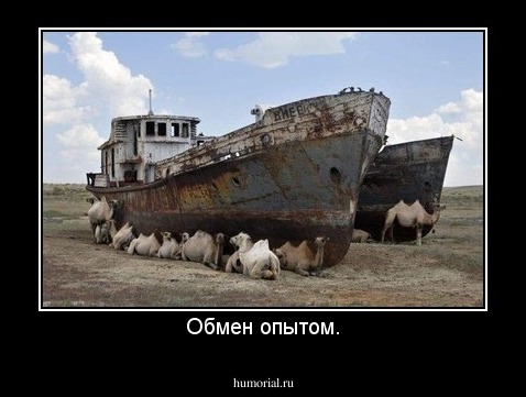 Обмен опытом.