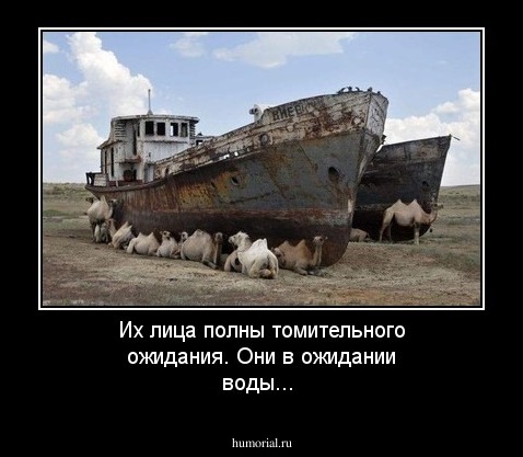 Их лица полны томительного ожидания. 
Они в ожидании воды...