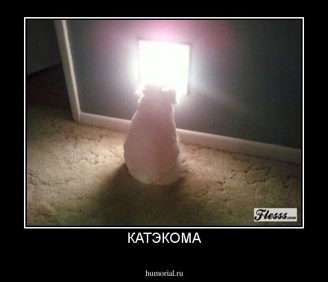 КАТЭКОМА