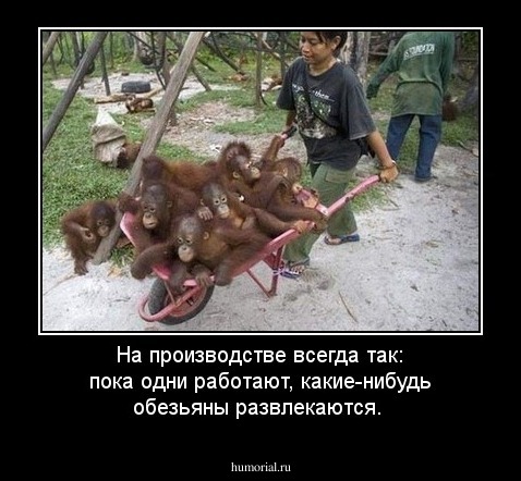 На производстве всегда так: пока одни работают, какие-нибудь обезьяны  развлекаются.