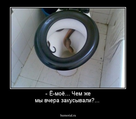 - Ё-моё... Чем же мы вчера закусывали?...