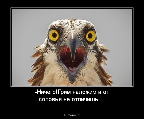 -Ничего!Грим наложим и от соловья не отличишь...