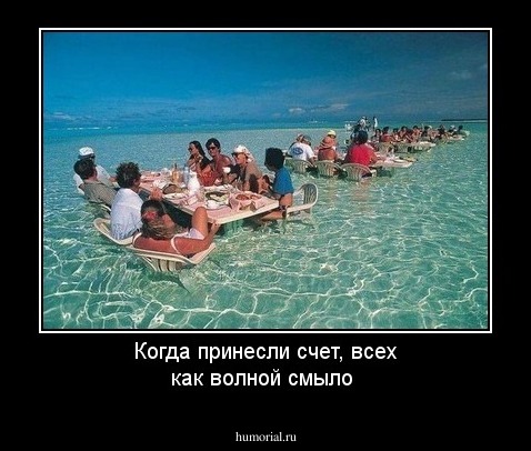 Когда принесли счет, всех как волной смыло