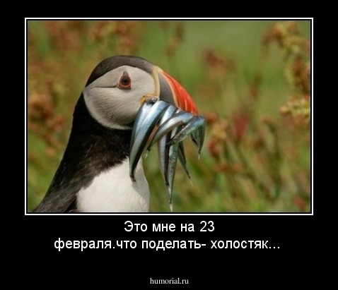 Это мне на 23 февраля.что поделать- холостяк...