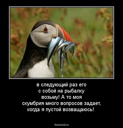 в следующий раз его с собой на рыбалку возьму! А то моя скумбрия много вопросов задает, когда я пустой возващаюсь!