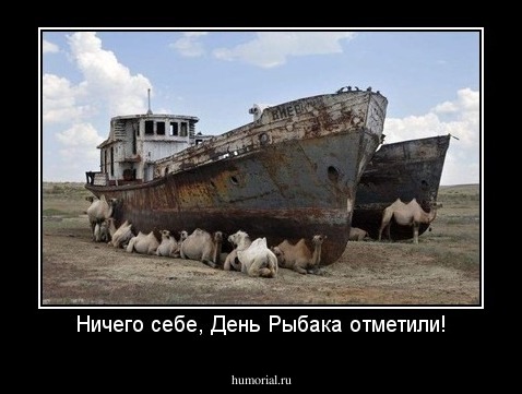 Ничего себе, День Рыбака отметили!