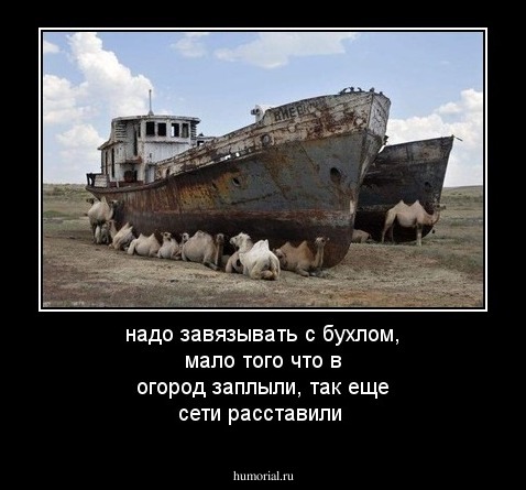 надо завязывать с бухлом, мало того что в огород заплыли, так еще сети расставили