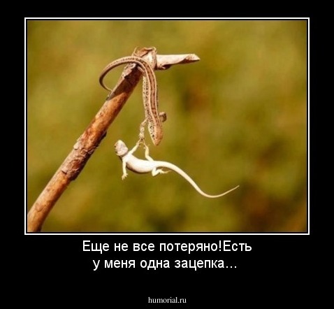 Еще не все потеряно!Есть у меня одна зацепка...