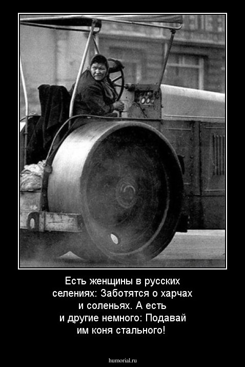 Есть женщины в русских селениях:
Заботятся о харчах и соленьях.
А есть и другие немного:
Подавай им коня стального!