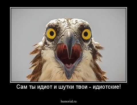 Сам ты идиот и шутки твои - идиотские!