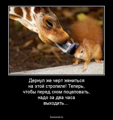 Дернул же черт жениться на этой стропиле! Теперь, чтобы перед сном поцеловать, надо за два часа выходить...