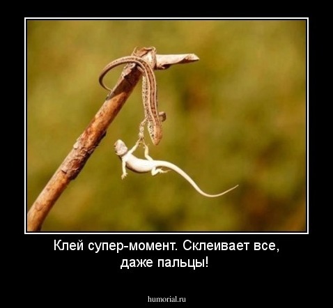 Клей супер-момент. Склеивает все, даже пальцы!