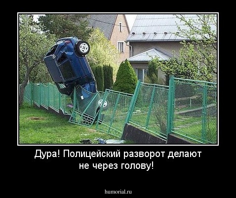 Дура! Полицейский разворот делают не через голову!